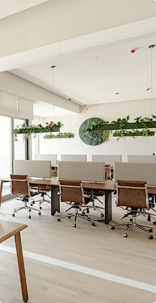 Kolektif House lokasyonlarının yarım ekran görünümü