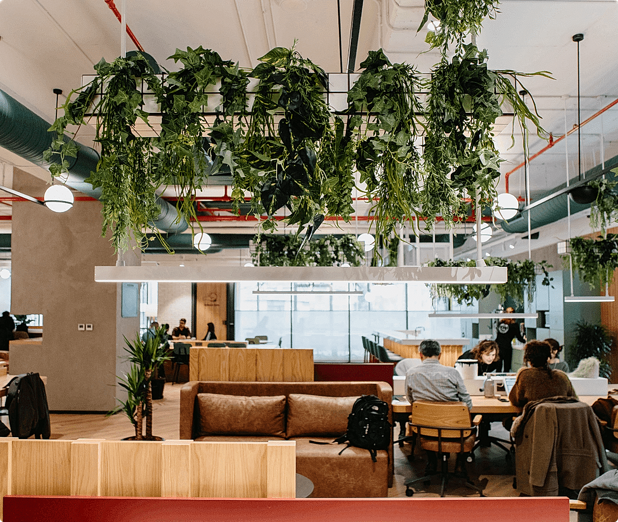 Kolektif Ailesi’nin Anadolu yakasındaki ilk evi.