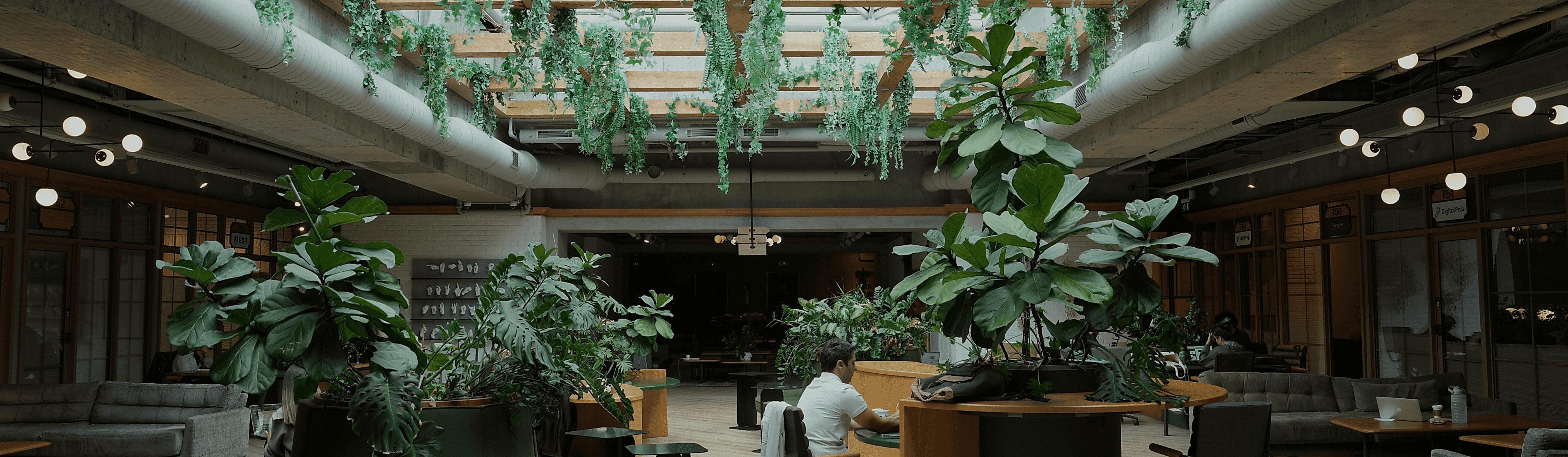 Kolektif House İşbirliği 1